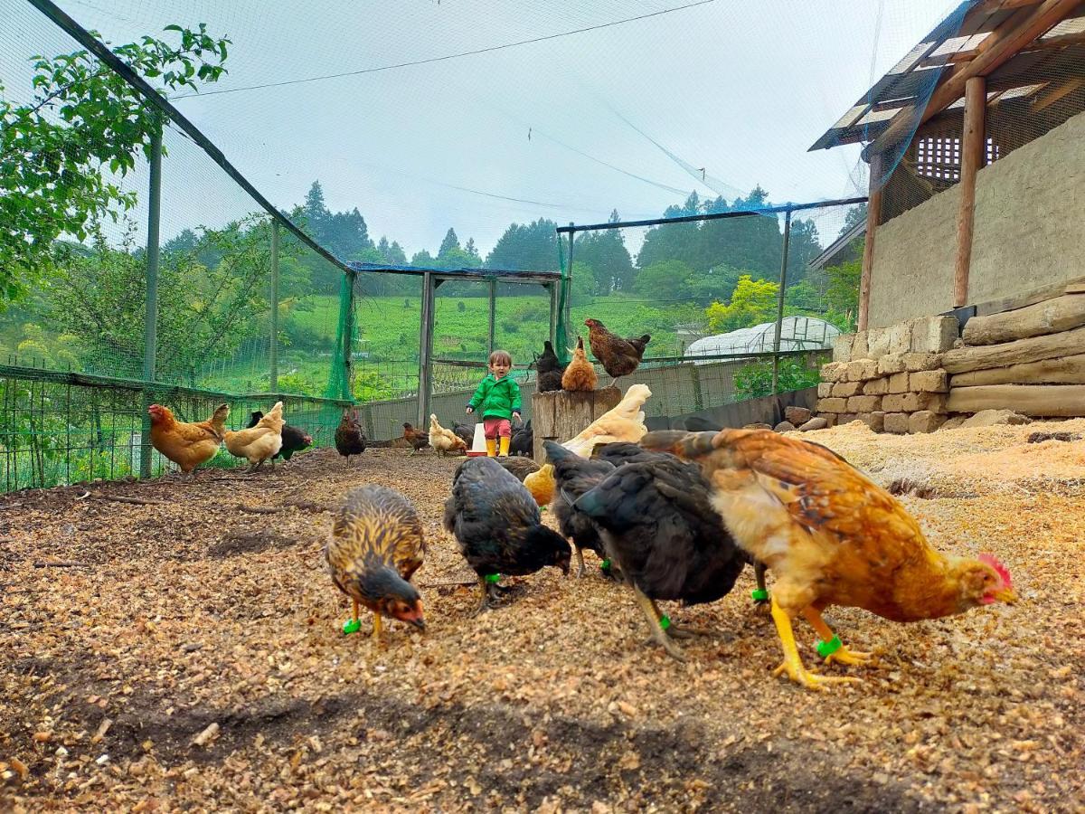 Yokomura Eco-Lodge 上野原市 エクステリア 写真